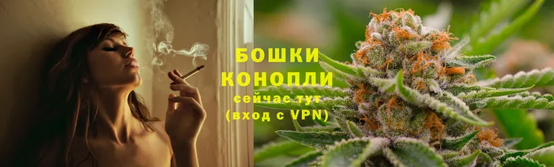 цена наркотик  Алексин  Каннабис OG Kush 